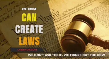 Legislative Branch: The Lawmakers