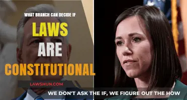 The Supreme Court: Our Constitution's Ultimate Guardian