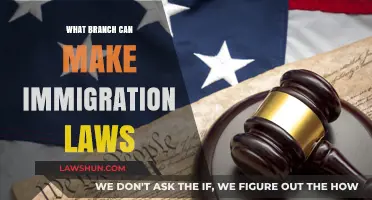 Immigration Laws: Which Branch Holds the Power?