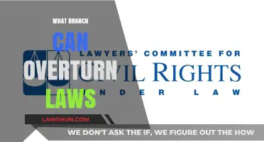 The Supreme Court: Overturning Laws and Shaping America