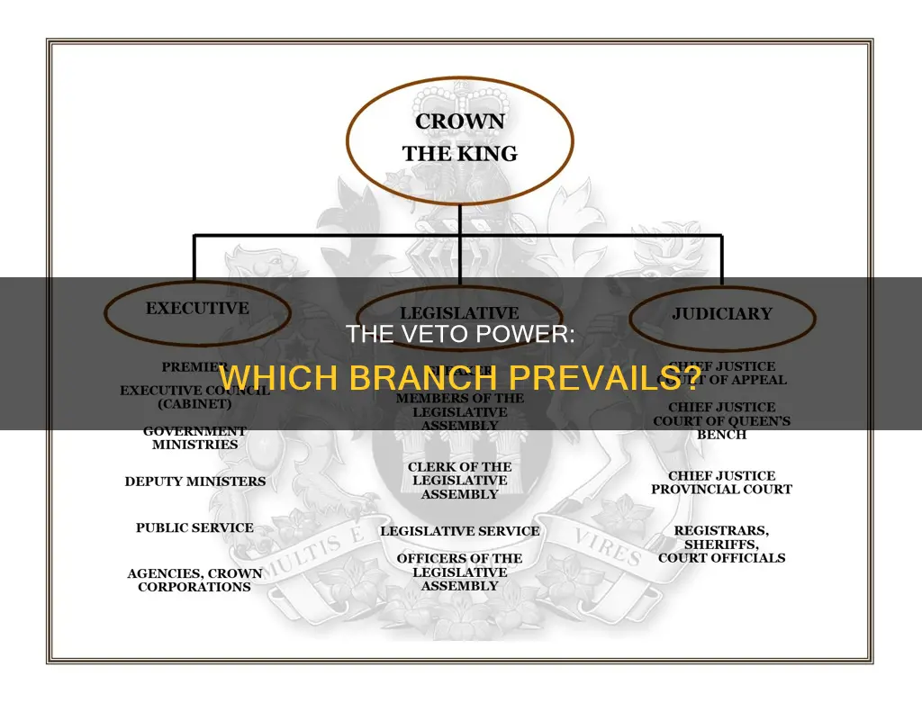 what branch can veto a law