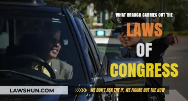 Executive Branch: Enforcing and Implementing Congressional Laws in Action