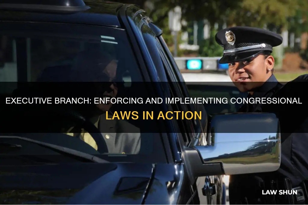 what branch carries out the laws of congress