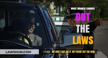 Understanding the Executive Branch: Enforcing and Implementing National Laws