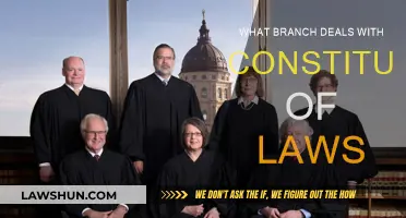 The Constitution's Guardians: Interpreting Our Laws