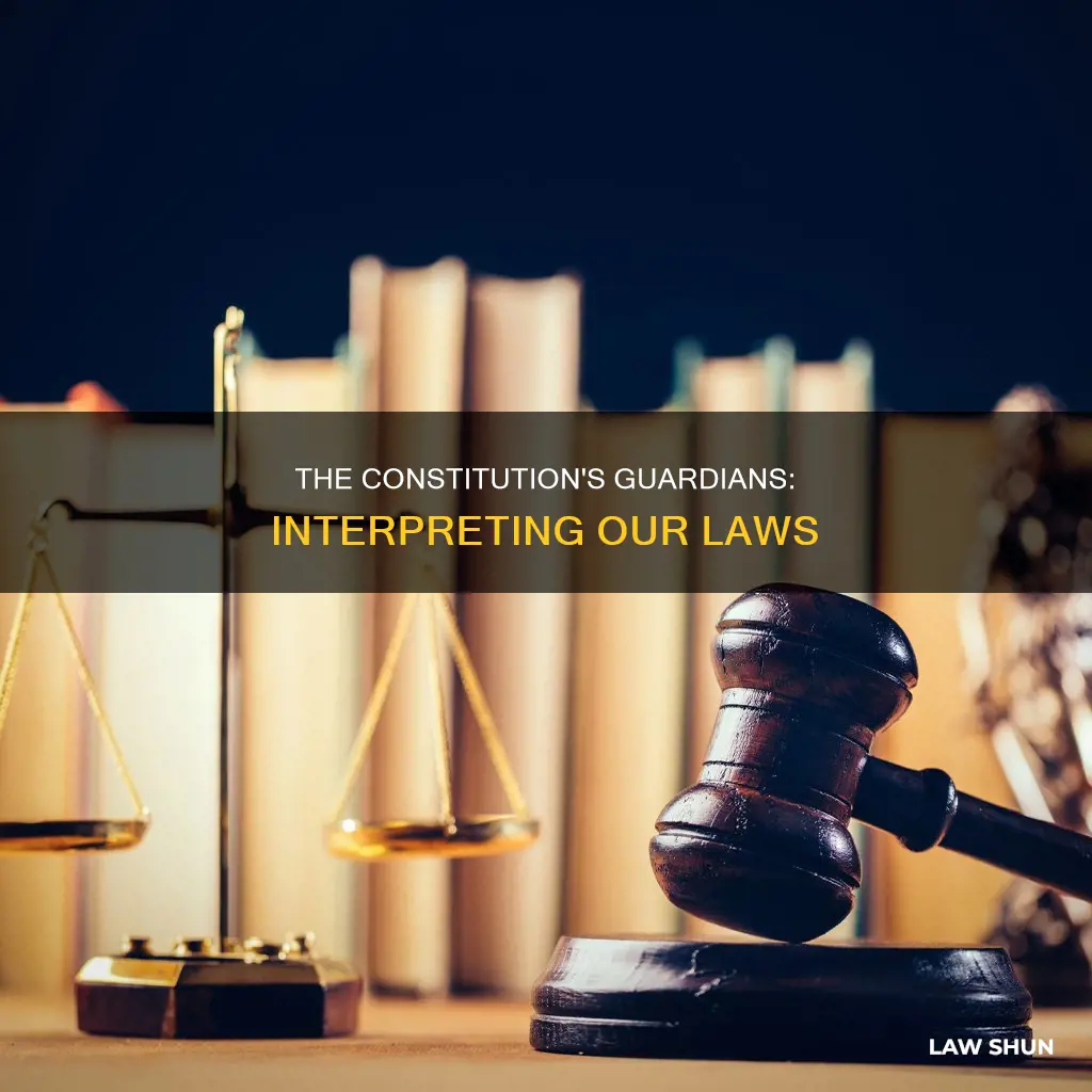 what branch deals with constitutionality of laws