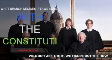The Judicial Branch: Interpreting Our Constitution