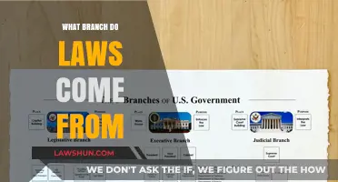 Understanding the Origin: Which Branch of Government Creates Laws?