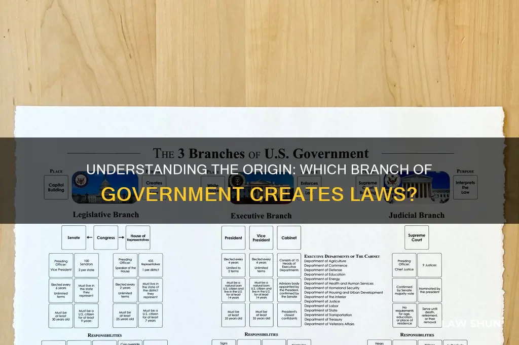 what branch do laws come from