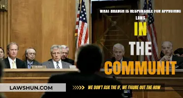 Understanding the Legislative Branch: Approving Community Laws and Their Role