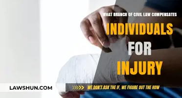 Understanding Tort Law: Compensation for Personal Injury Explained