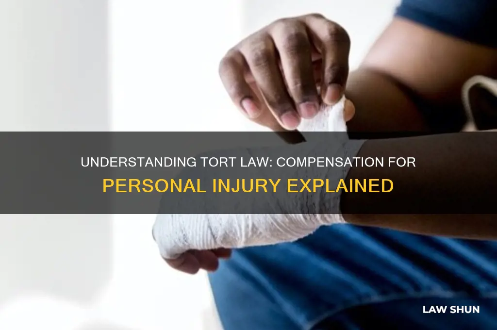 what branch of civil law compensates individuals for injury