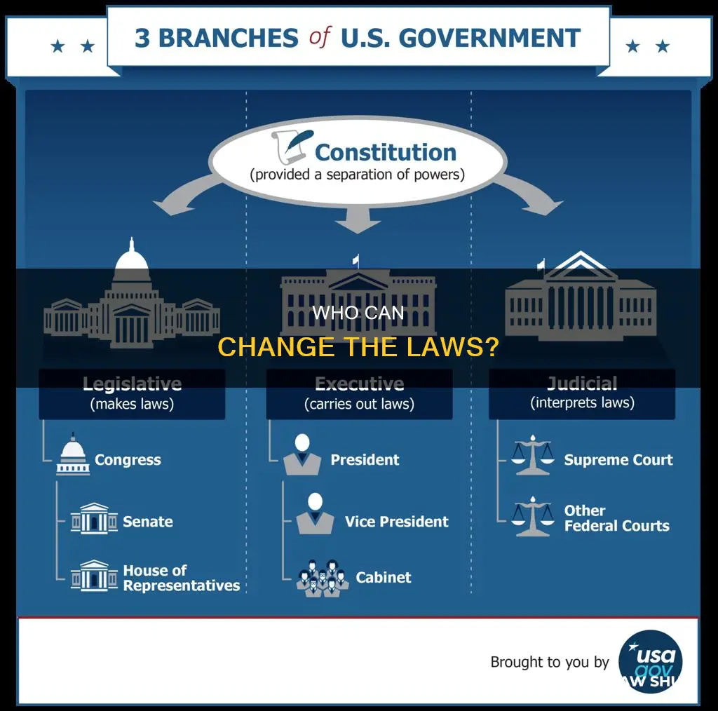what branch of govermant can change laws