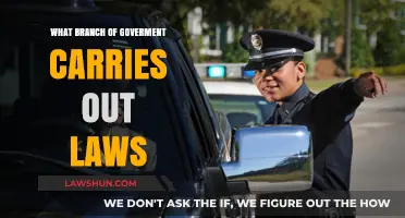 Executive Branch: The Government Arm Responsible for Enforcing Laws