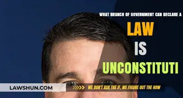 Who Can Declare a Law Unconstitutional?