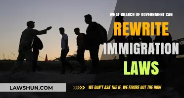 Who Can Rewrite Immigration Laws?