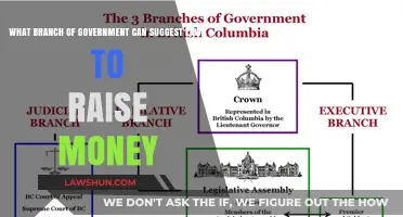 Legislative Branch: Suggesting Laws to Raise Money