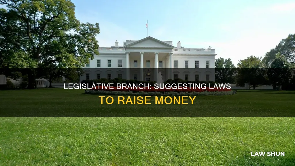 what branch of government can suggest laws to raise money