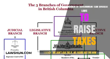 Who Can Suggest Tax Laws?