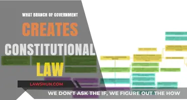 Who Creates Constitutional Law?