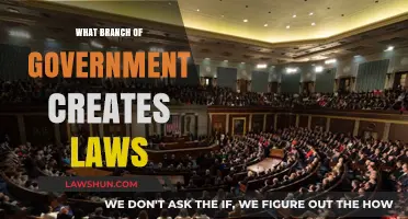 The Law-Making Branch: Understanding Government's Role
