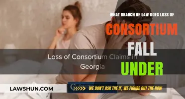 Understanding Loss of Consortium: Which Legal Branch Governs This Claim?