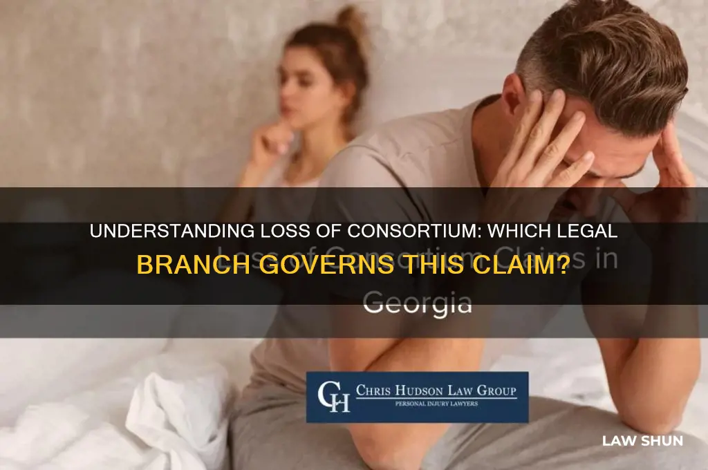 what branch of law does loss of consortium fall under