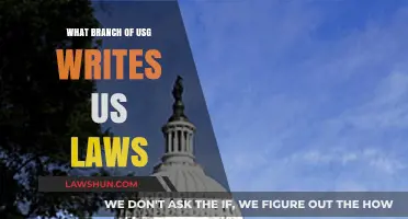 Which Branch of the US Government Drafts and Enacts Federal Laws?