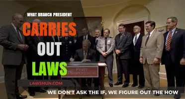 Executive Branch: How the President Enforces and Implements National Laws