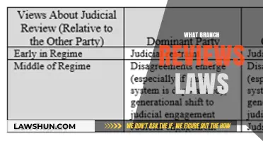 Judicial Branch: The Guardian Reviewing and Interpreting Laws in Democracy