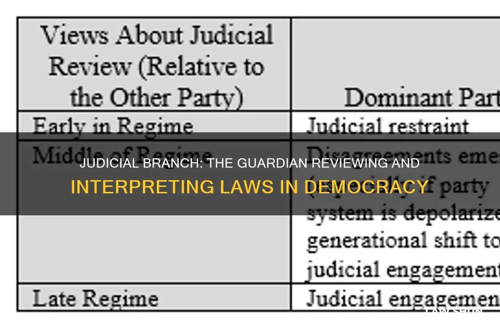 what branch reviews laws