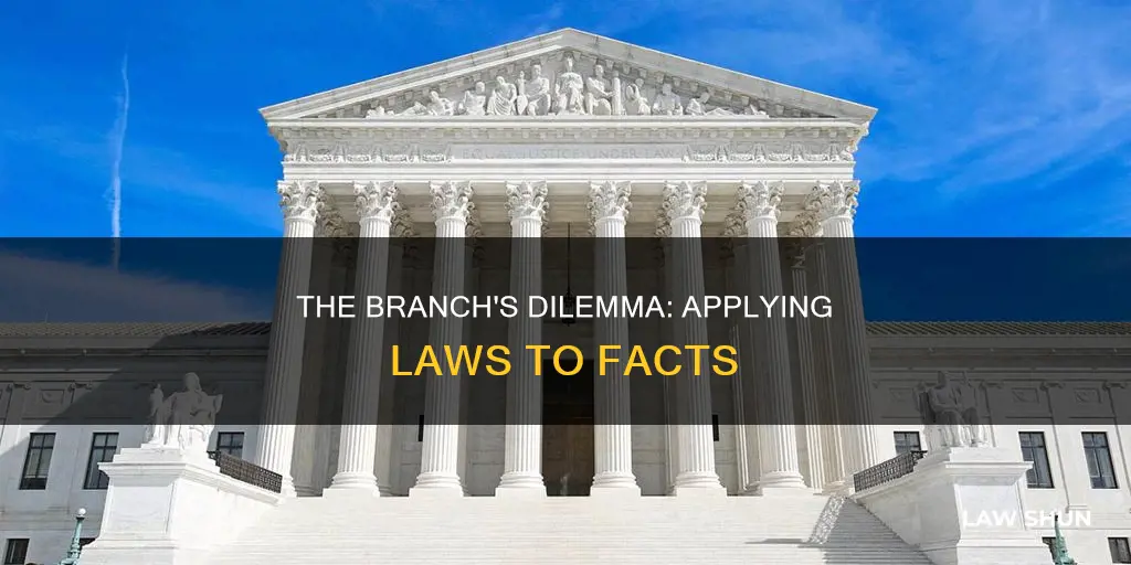 what branch said we apply laws to facts