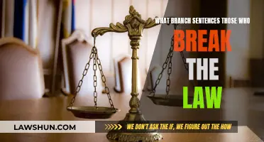 Punishing Lawbreakers: Judicial Branch's Role in Maintaining Order