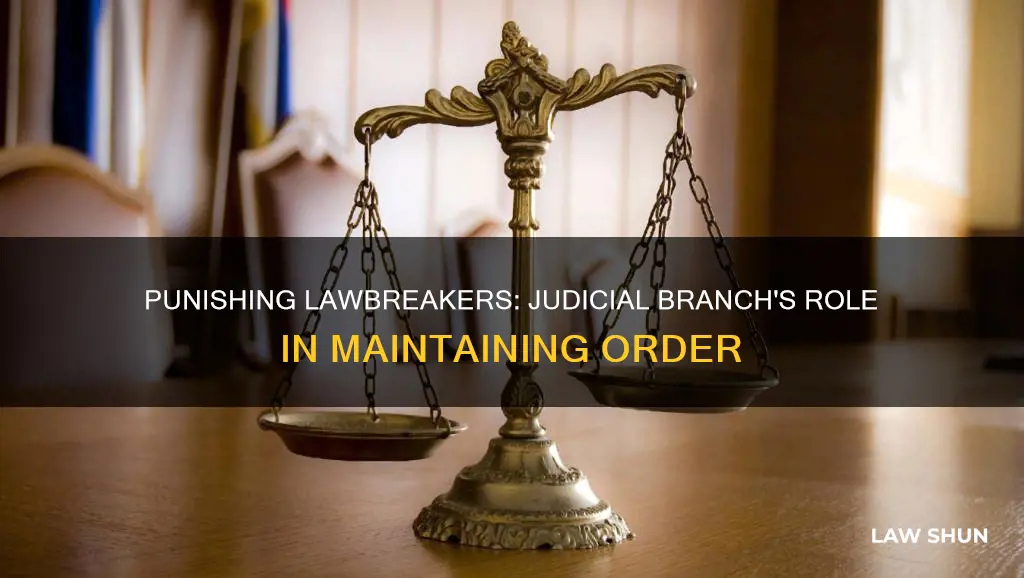 what branch sentences those who break the law