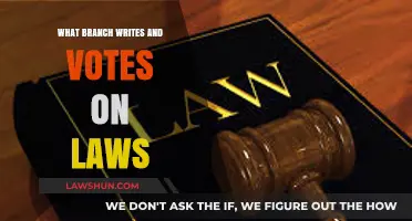 Understanding the Legislative Branch: Law Creation and Voting Process Explained