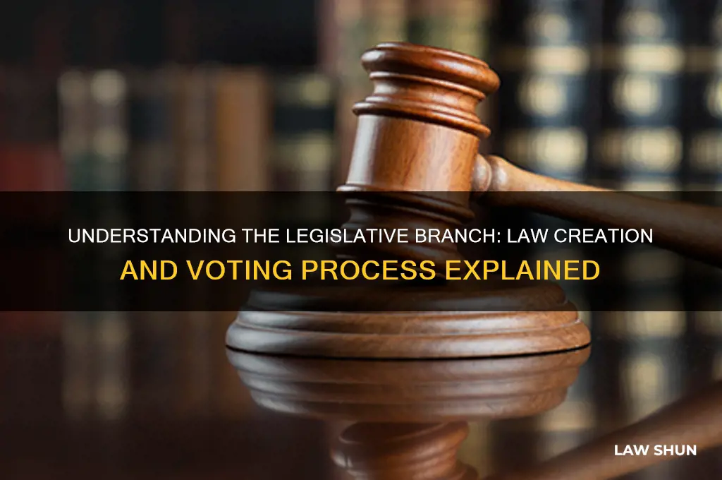 what branch writes and votes on laws