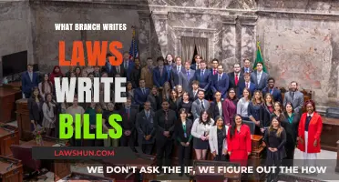 Understanding the Legislative Branch: Who Writes Laws and Drafts Bills?