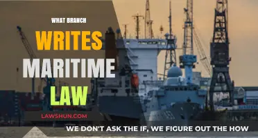 Who Crafts Maritime Law? Understanding the Legal Branch Behind It