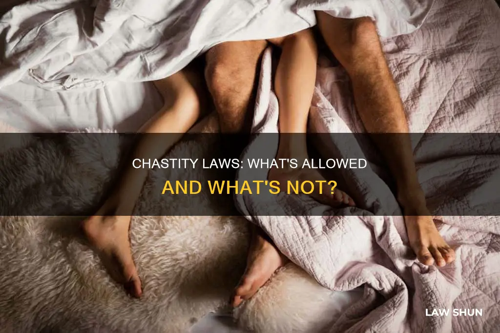 what breaks the law of chastity