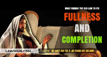 Fulfilling the Old Law: Understanding Its Completion and Fullness