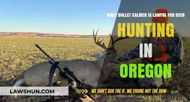 Oregon Deer Hunting: Legal Bullet Caliber Requirements Explained