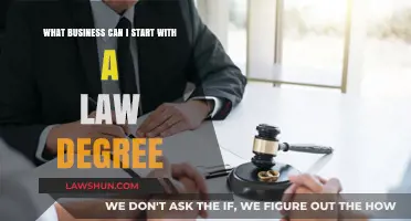 Lucrative Business Ventures for Law Degree Holders