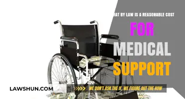 Understanding Legal Standards for Reasonable Medical Support Costs