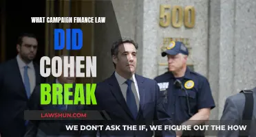 Cohen's Campaign Finance Law Violation: What Happened?