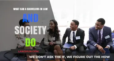 Law and Society: Career Options for Graduates