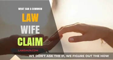 Understanding Common-Law Wife Entitlements