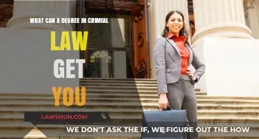 Explore Career Options with a Criminal Law Degree