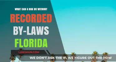 HOA Power Without By-Laws: Florida Focus