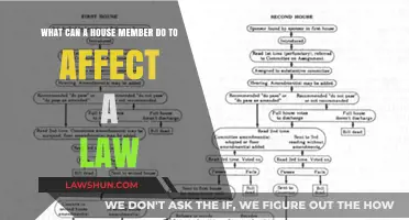 How House Members Influence Laws