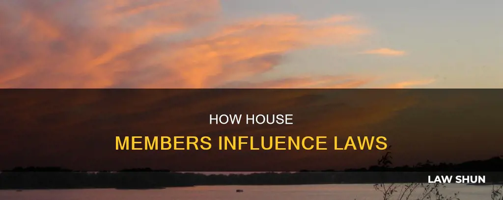 what can a house member do to affect a law